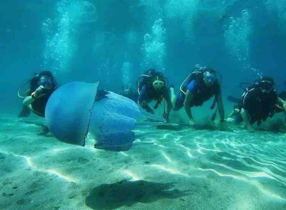 Eden Suite Paralia Ngoại thất bức ảnh